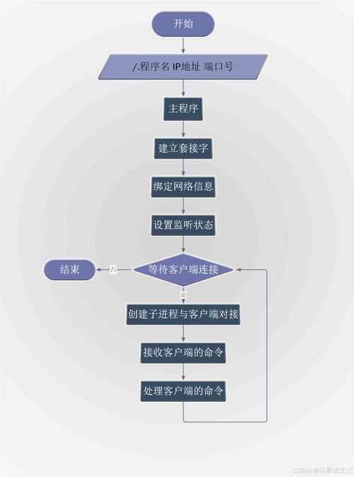 Linux網(wǎng)盤(pán) 編程者的技術(shù)賦能與價(jià)值創(chuàng)造